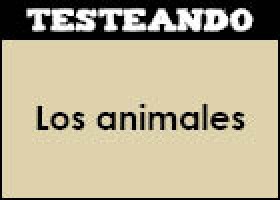 Los animales | Recurso educativo 45431