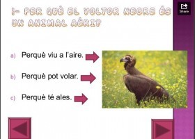 Els animals | Recurso educativo 496183