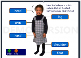 Crickweb | KS1 Science | Recurso educativo 656571