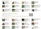 Razas de perros | Recurso educativo 675254