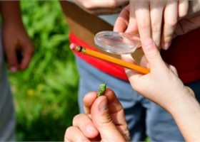 La calidad de los maestros y las maestras define la calidad de la educación. | Recurso educativo 677890