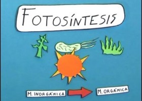 Cómo se desarrolla la fotosíntesis | Recurso educativo 688545