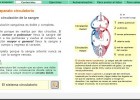 La circulación de la sangre | Recurso educativo 725315