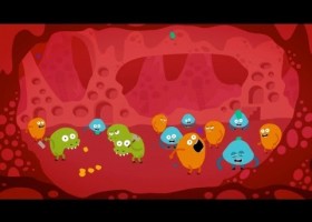 You are your microbes | Recurso educativo 725381