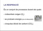 Aparell respiratori | Recurso educativo 736776