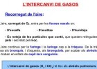 L'intercanvi de gasos | Recurso educativo 736778