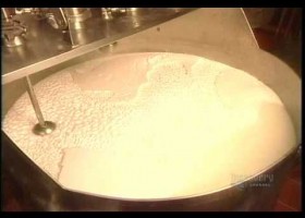 How It's Made Yogurt | Recurso educativo 741251