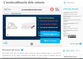 L' ecolocalització dels cetacis (educaixa) | Recurso educativo 742853