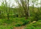 El Parc Natural de la Zona Volcànica de la Garrotxa | Recurso educativo 743522