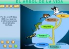 El árbol de la vida. | Recurso educativo 745055