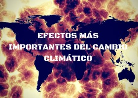 Los diez efectos más importantes del cambio climático | Recurso educativo 745414