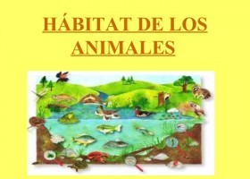 IMAGEN DEL HABITAT.jpg | Recurso educativo 749111