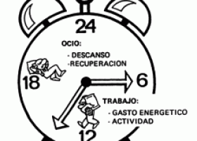 Propuestas para Mejorar la capacidad de Organizar el Trabajo Propio | | Recurso educativo 750249