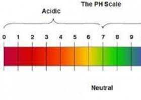 Valoració d'àcids i bases | Recurso educativo 754445