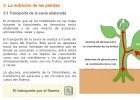 La nutrició de les plantes | Recurso educativo 754725