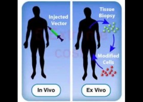 Biotechnology & Gene Therapy | Recurso educativo 756193