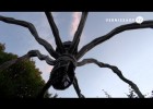 Louise Bourgeois: Maman | Recurso educativo 756548