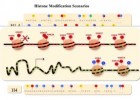 La epigenética el cáncer y otras enfermedades | Recurso educativo 762975