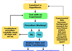 Steps of the Scientific Method | Recurso educativo 687230