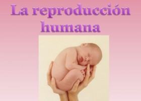 REPRODUCCIÓN HUMANA.pptx | Recurso educativo 768519