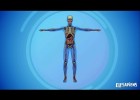 LOS SISTEMAS DEL CUERPO HUMANO | Recurso educativo 771841