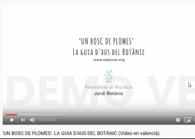 Un bosc de plomes: Guia de les aus del Botànic | Recurso educativo 777172