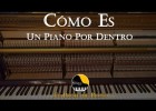 El interior de  un piano | Recurso educativo 777271