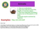 animalia.jpg | Recurso educativo 781292