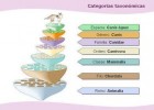 Primer Tema de la clase El origen de los sistemas de clasificación -Taxonomia. | Recurso educativo 782776