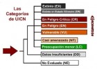 A Lista Vermella | Recurso educativo 782811