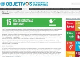 Bosques,  desertificación e diversidade biolóxica | Recurso educativo 785376