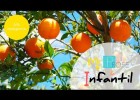 Árboles y plantas frutales | Recurso educativo 787490