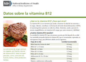 Datos sobre la vitamina B12 | Recurso educativo 788320