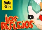 Actos reflejos | Recurso educativo 789642